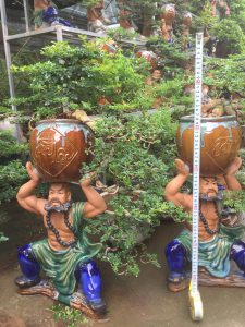 Cây Cần Thăng Bonsai - Võ Tăng vác lu độ thế