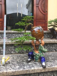 Cây Cần Thăng Bonsai - Võ Tăng vác lu độ thế