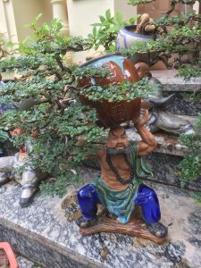 Cây Cần Thăng Bonsai - Võ Tăng vác lu độ thế