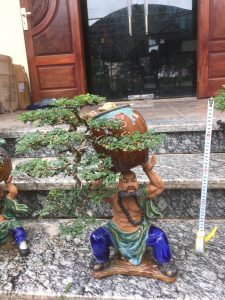 Cây Cần Thăng Bonsai - Võ Tăng vác lu độ thế