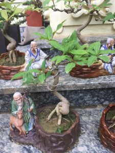 Cây Lộc Vừng Bonsai để bàn