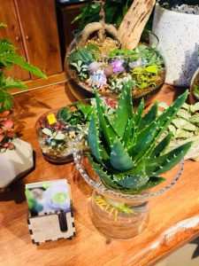 nha đam - lô hội