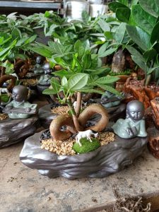 Kim Ngân tiểu cảnh Đức Phật và tình yêu