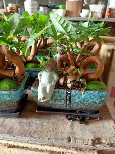 Kim Ngân tiểu cảnh Đức Phật và tình yêu