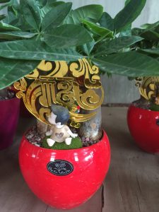 Kim Ngân 3 thân: cô cậu kiêu kỳ