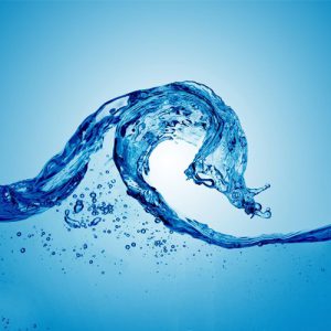 cây phong thủy mệnh thủy